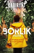 Labirynt - Piotr Borlik -  Polnische Buchandlung 