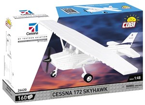 Bild von Cessna 172 Skyhawk