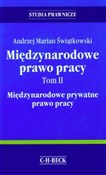 Międzynaro... - Andrzej Marian Świątkowski -  Polnische Buchandlung 