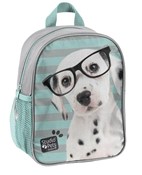 Zobacz : Plecaczek ...