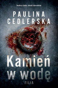 Bild von Kamień w wodę