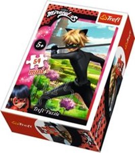 Obrazek Puzzle Miraculous Czarny Kot 54