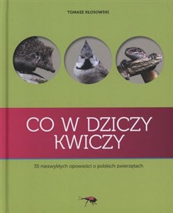 Obrazek Co w dziczy kwiczy 35 niezwykłych opowieści o polskich zwierzętach