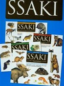 Ssaki - Brodacki Michał - Ksiegarnia w niemczech