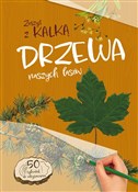 Polska książka : Drzewa nas... - Katarzyna Kopiec-Sekieta
