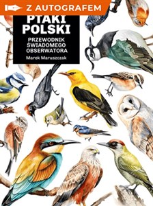 Bild von Głupie ptaki Polski. Przewodnik świadomego obserwatora - książka z autografem