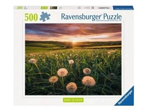 Bild von Puzzle 500 Łąka