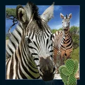 Polnische buch : Magnes 3D ...