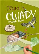 Książka : Owady nasz... - Katarzyna Kopiec-Sekieta