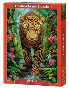 Bild von Puzzle 2000 Leopard in the Wild