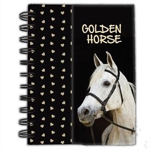 Bild von Notes A6 Paso Horse