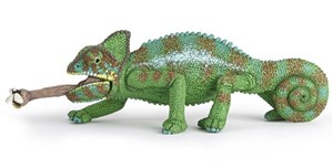 Obrazek Kameleon