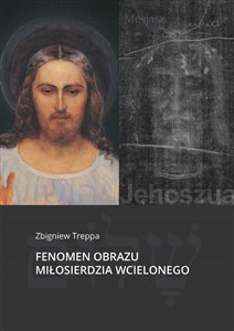 Obrazek Fenomen obrazu Miłosierdzia Wcielonego