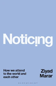 Obrazek MARAR, Z: NOTICING