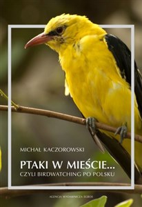Obrazek Ptaki w mieście czyli birdwatching po polsku