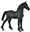 Bild von Źrebię Friesian Foal - Czarne