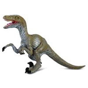 Bild von Dinozaur Velociraptor