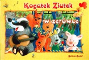 Kogutek Zi... - Barbara Sudoł -  polnische Bücher
