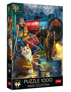 Obrazek Puzzle 1000 Premium Plus Quality Magic Collection: Ekspres czarownic