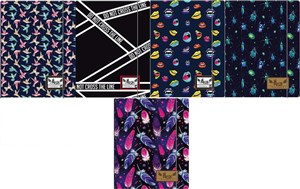 Bild von Teczka z gumką Astra Hash 2 (HS-145)