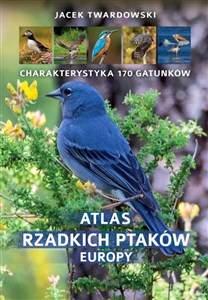 Obrazek Atlas rzadkich ptaków Europy