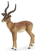 Impala -  polnische Bücher