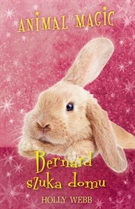 Obrazek Animal Magic Bernard szuka domu