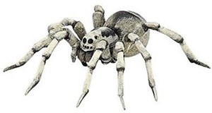 Obrazek Tarantula