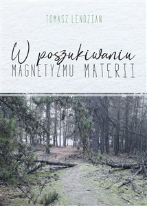 Obrazek W poszukiwaniu magnetyzmu materii