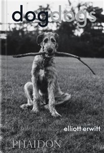 Bild von DogDogs