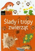 Polnische buch : Ślady i tr... - Anna Lewandowska, Grzegorz Okołów