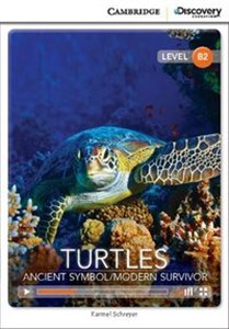 Bild von Turtles: Ancient Symbol/Modern Survivor