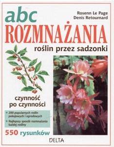 Bild von ABC rozmnażania roślin przez sadzonki