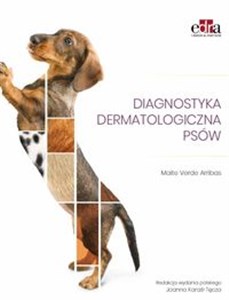 Obrazek Diagnostyka dermatologiczna psów