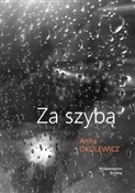 Polska książka : Za szybą - Anna Okulewicz