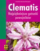 Książka : Clematis n... - Friedrich Manfred Westphal