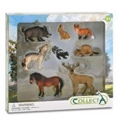 Collecta Z... -  Książka z wysyłką do Niemiec 