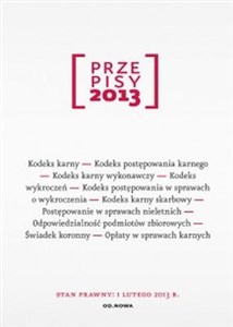 Bild von Przepisy 2013 Zbiór karny