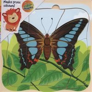 Obrazek Puzzle drewniane Motyl