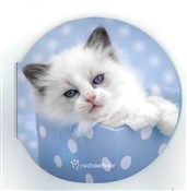 Notesik mi... -  fremdsprachige bücher polnisch 