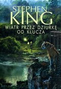 Polnische buch : Mroczna Wi... - Stephen King