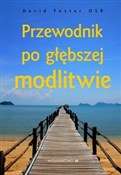 Książka : Przewodnik... - David Foster