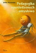 Pedagogika... - Janina Wyczesany -  Książka z wysyłką do Niemiec 