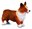 Bild von Pies Welsh corgi