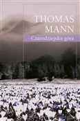 Książka : Czarodziej... - Thomas Mann