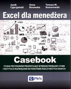 Bild von Excel dla menedżera Casebook