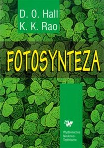 Bild von Fotosynteza