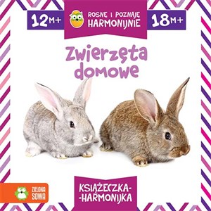 Bild von Rosnę i poznaję harmonijnie. Zwierzęta domowe