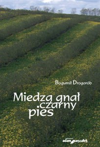 Obrazek Miedzą gnał czarny pies