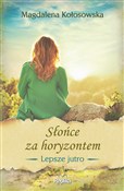 Polska książka : Słońce za ... - Magdalena Kołosowska